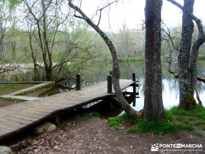 Cascadas Purgatorio,Bosque Finlandia; pueblos con encanto madrid; turismo activo